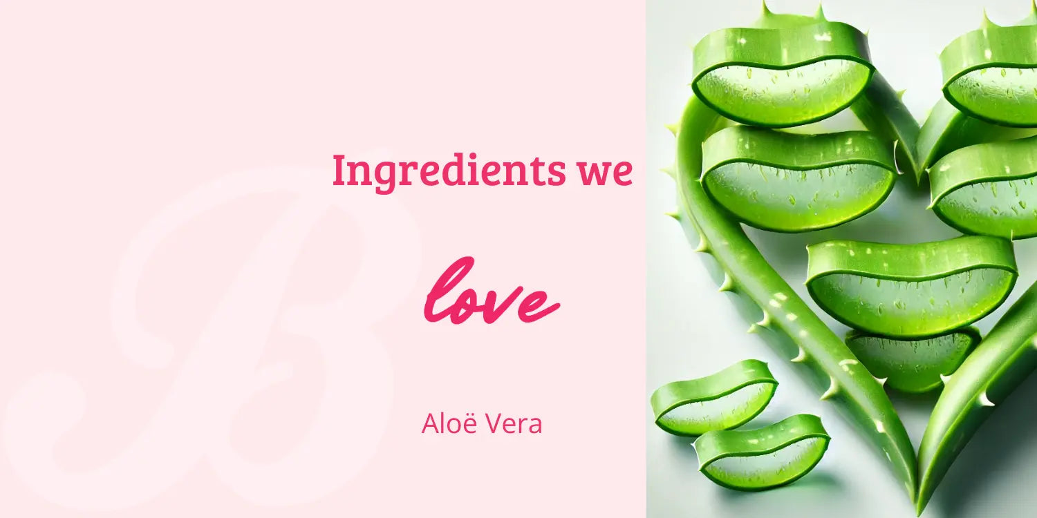 Ingrediënten we love: Aloë Vera