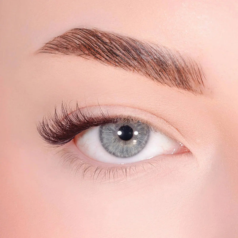 Lola's Lashes Demi Flare Half Lashes Brown